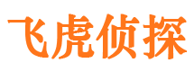 方山市侦探调查公司